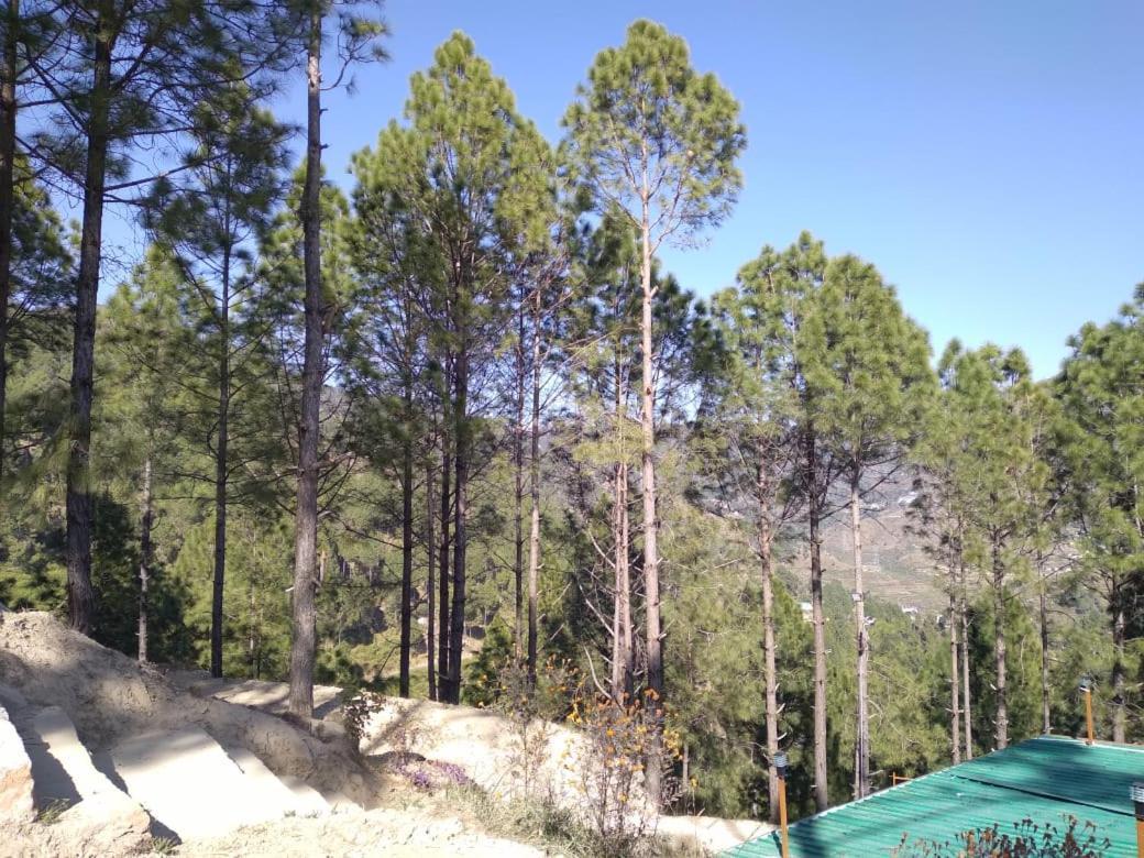 Nature Villaas Basa Homestay Pauri Zewnętrze zdjęcie
